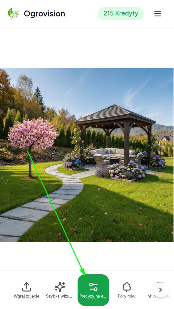 Lokalizacja narzędzia Precyzyjna edycja w dolnym panelu aplikacji Ogrovision